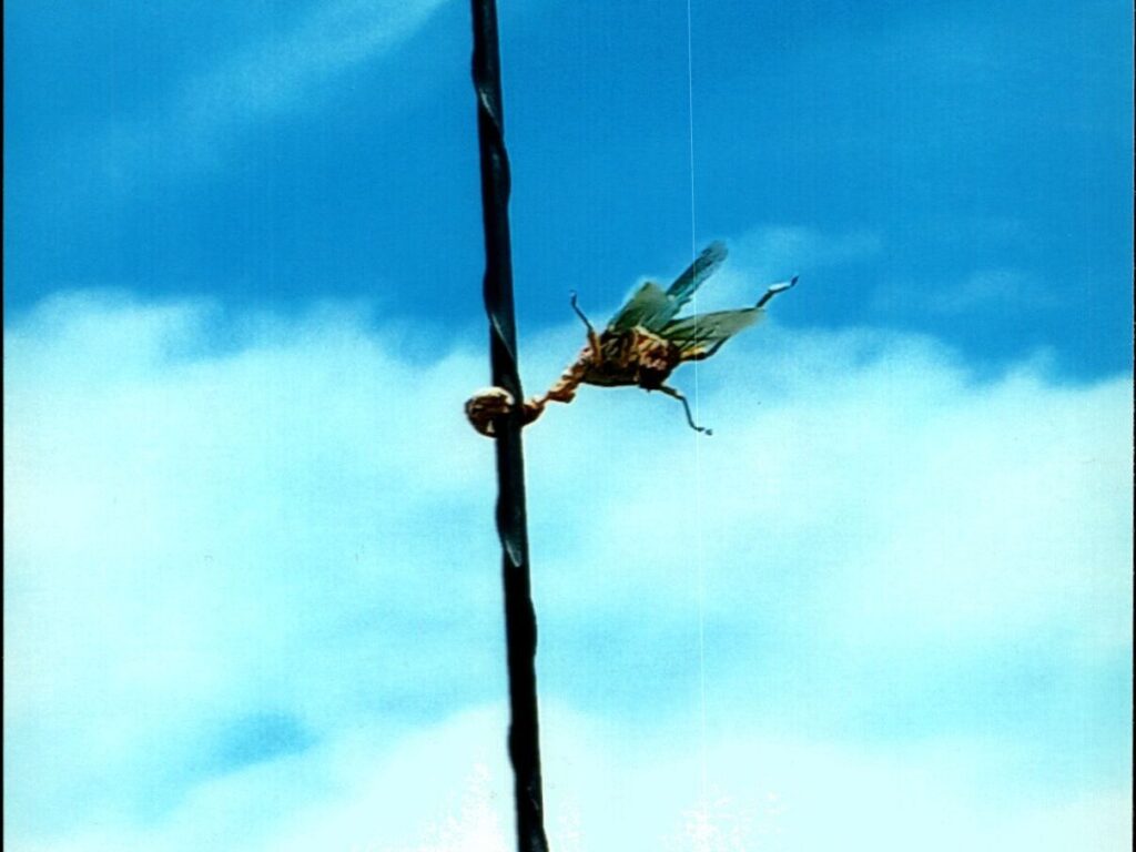 Bug on the antenna